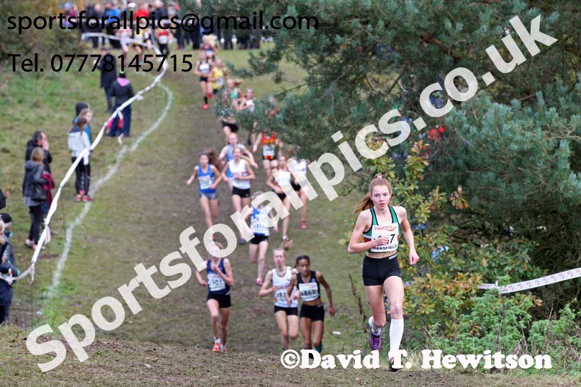 Girls under-15s National Cross Country Relay, Berry Hill Park, Mansfield. Photo:  David T. Hewitson/Sports for All Pics